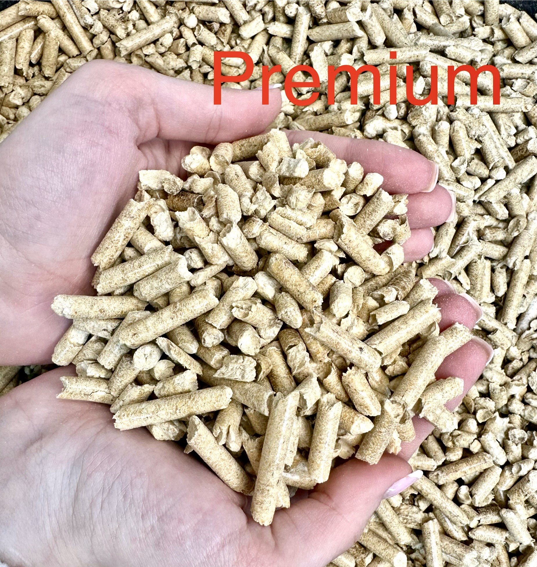 car photo 6763d4b5c9477.jpeg